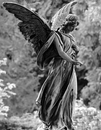 Black and White Angel Statue Sculpture in Garden Setting
