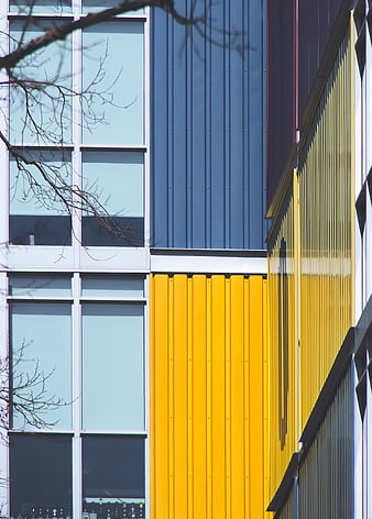 Modern Building Facade with Yellow and Blue Panels