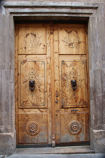 Vintage Wooden Double Door with Ornate Metal Knocker