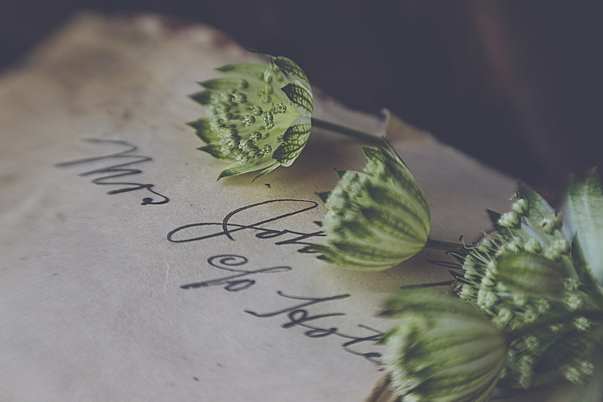 Vintage Nigella Flowers on Handwritten Paper
