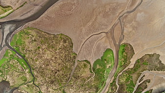 Aerial View of River Delta with Sand and Green Vegetation