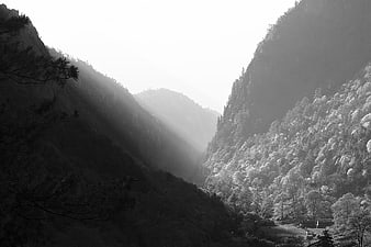 Dramatic Black and White Mountain Valley with Sunbeams
