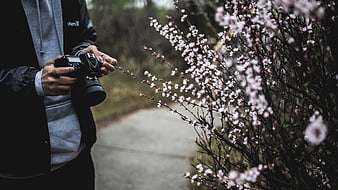 Photographer capturing spring blossoms with DSLR camera