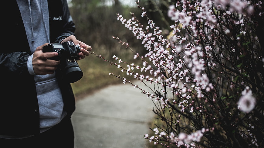 Photographer capturing spring blossoms with DSLR camera