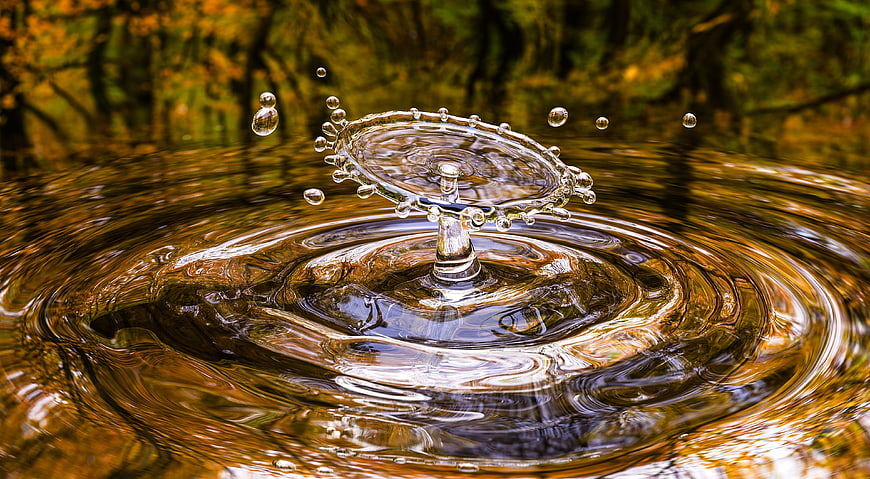 Macro Water Splash Crown Formation In Autumn Pond