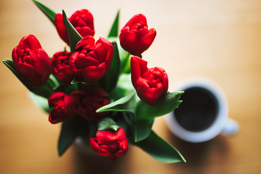 Overhead view of red tulips and coffee cup on wooden table