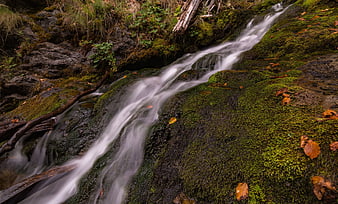 Misty stream flowing over mossy rocks in autumn forest