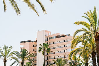 Pink Apartment Building with Palm Trees Against Blue Sky