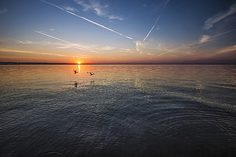 Seagulls Flying Over Calm Sea at Sunset with Contrails