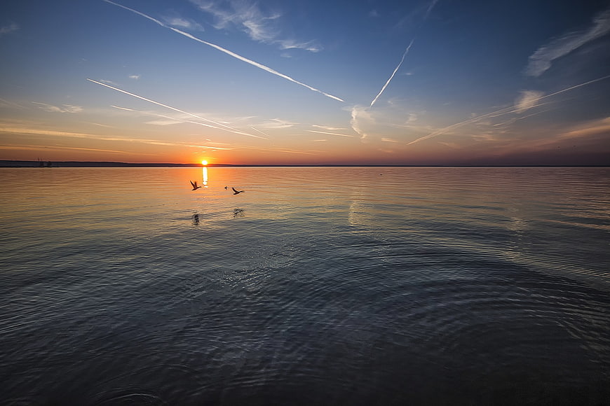 Seagulls Flying Over Calm Sea at Sunset with Contrails