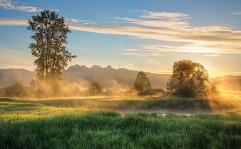 Misty Mountain Landscape at Sunrise with Golden Light and Green Meadow
