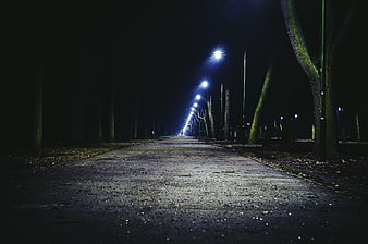 Empty asphalt road at night illuminated by streetlights