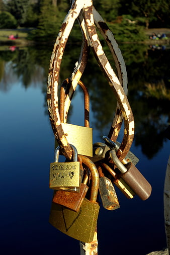 Rusty Love Padlocks on Bridge Railing by Lake