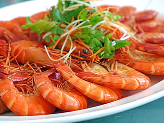 Close-up of steamed prawns with cilantro garnish on white plate