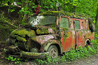 Rusty vintage fire truck abandoned in overgrown forest