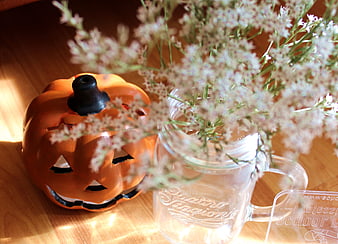 Autumn Halloween pumpkin decoration with white flowers in mason jar