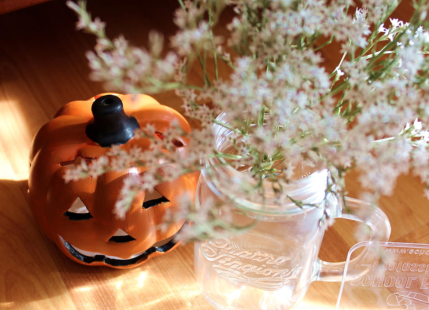 Autumn Halloween pumpkin decoration with white flowers in mason jar