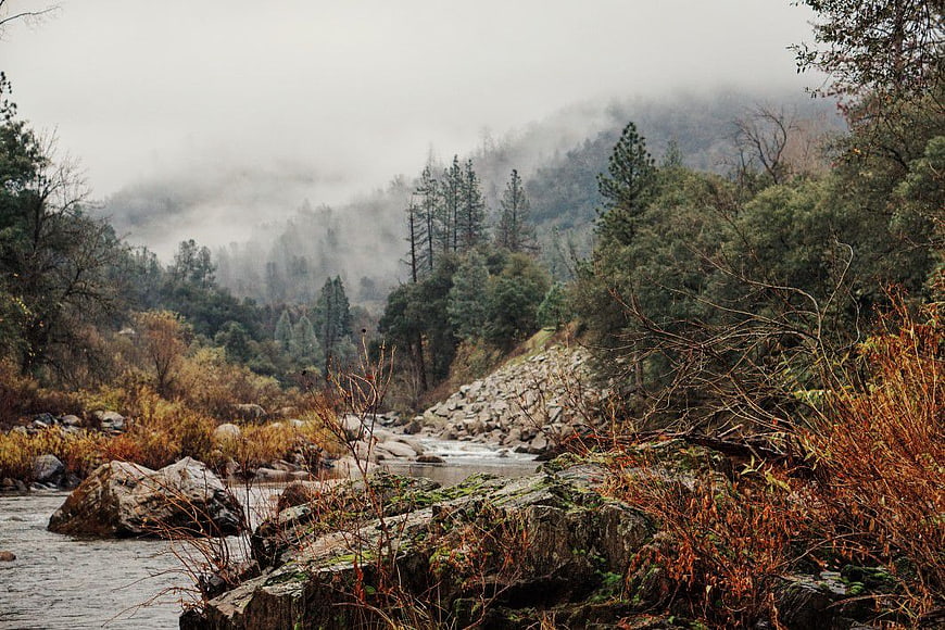 Misty River Flowing Through Autumn Forest Landscape