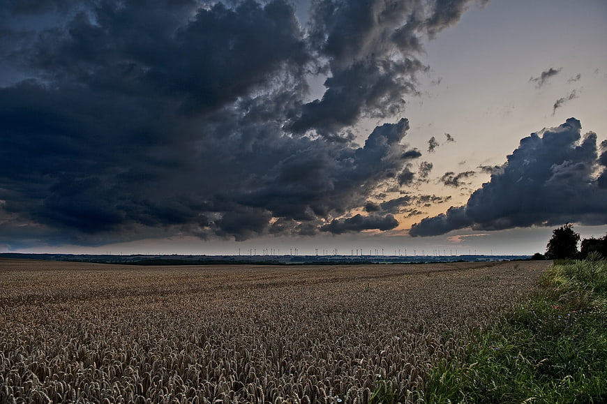 Dramatic Storm Clouds Over Golden Wheat Field at Dusk