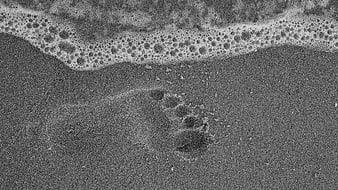 Black and white footprint in wet sand near foamy wave