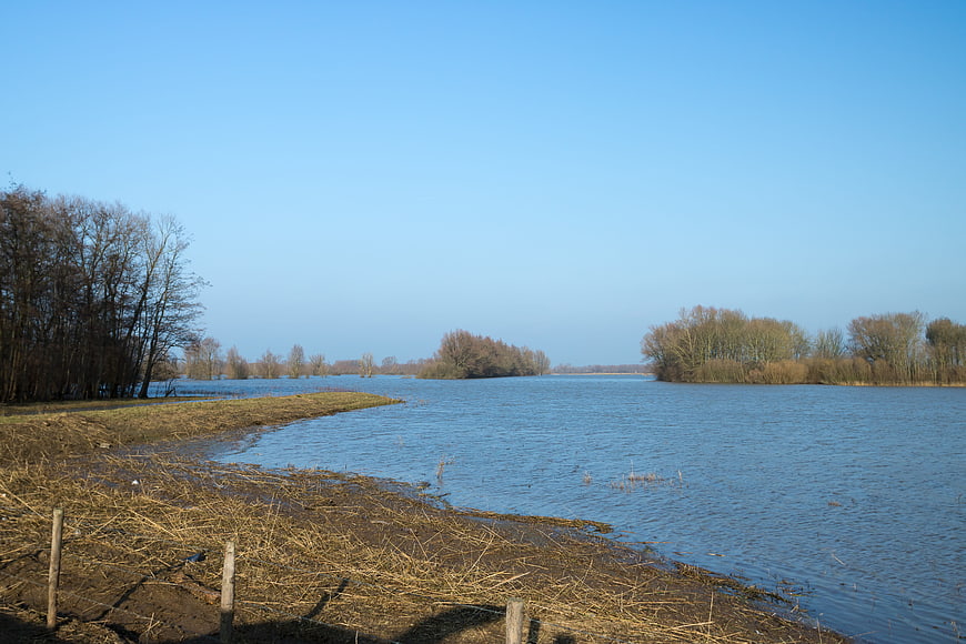 Wide River Landscape with Bare Trees and Blue Sky