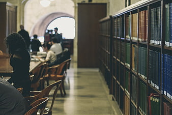 Students studying in a historic library with bookshelves
