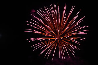 Vibrant Pink Firework Burst Against Black Night Sky