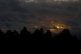 Dramatic sunset sky with golden light breaking through dark clouds above tree silhouette