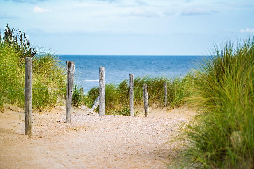 Sandy path through dunes to the sea with wooden fence