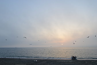 Seagulls flying over calm ocean at sunset with people on beach