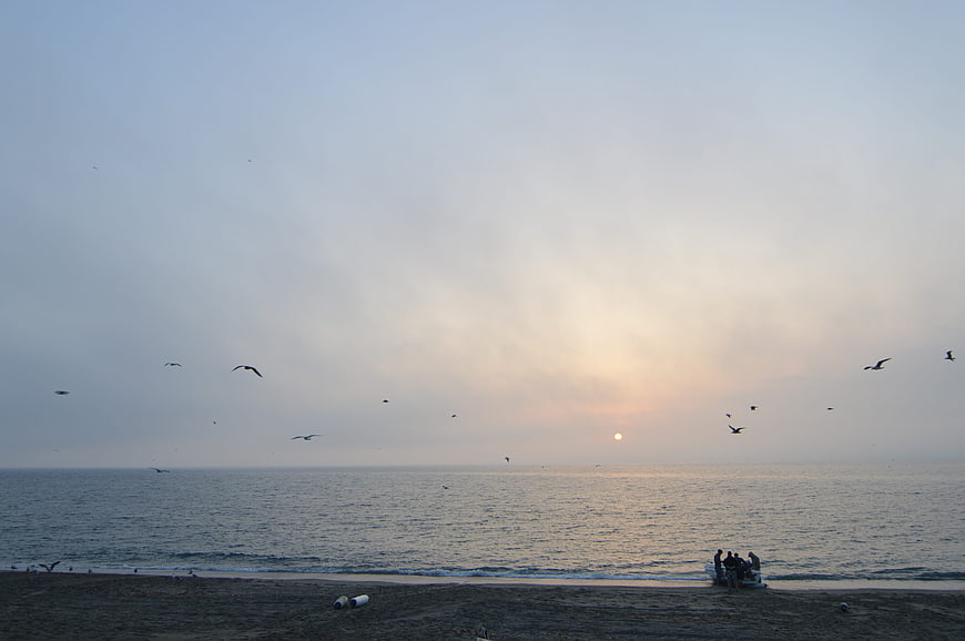 Seagulls flying over calm ocean at sunset with people on beach