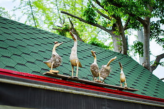 Wooden goose sculptures on green roof with trees