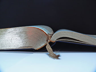 Close-up of Open Book with Ribbon Bookmark
