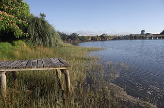 Wooden Jetty on Grassy Riverbank with Blue Sky