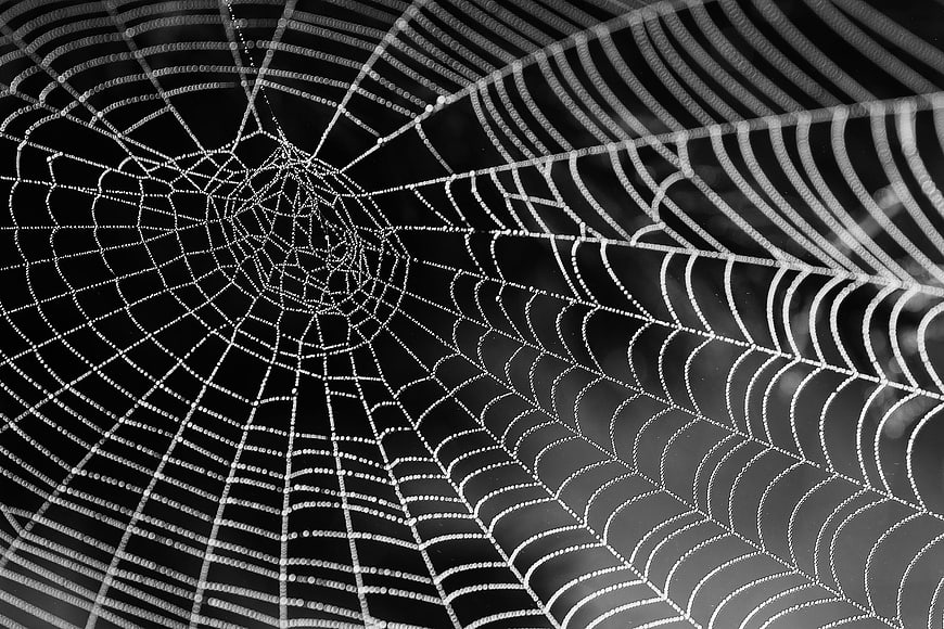 Black and white macro of dew-covered spider web pattern