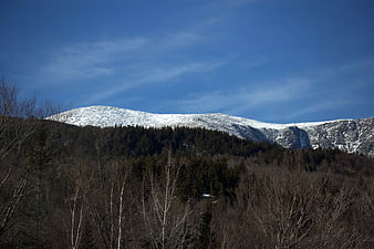 Snow-Capped Mountain Ridge Above Winter Forest