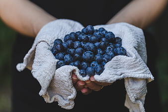 Hands holding fresh blueberries in linen cloth