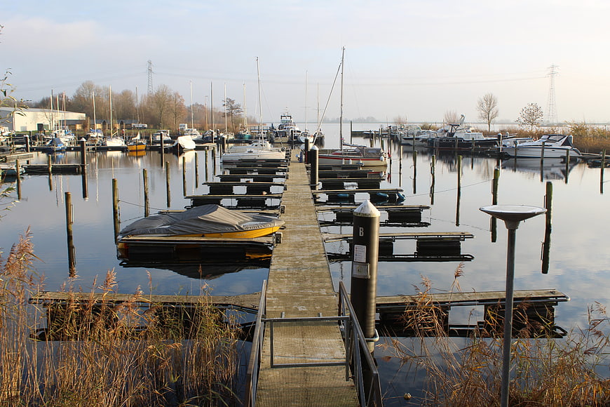Wooden dock leading into calm marina with boats and reeds