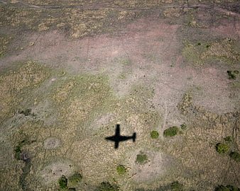 Aerial View of Airplane Shadow Over Savanna Wildlife