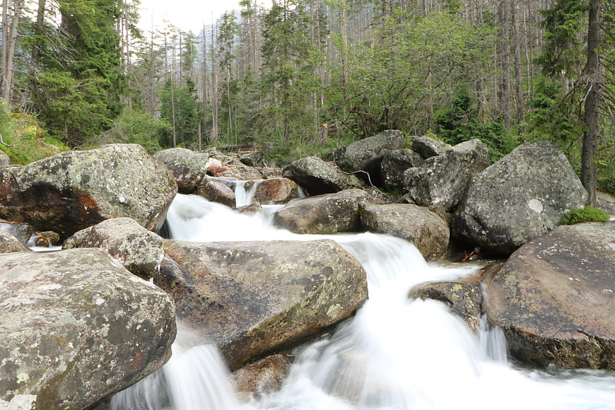 Flowing Mountain Stream Over Rocks in Forest