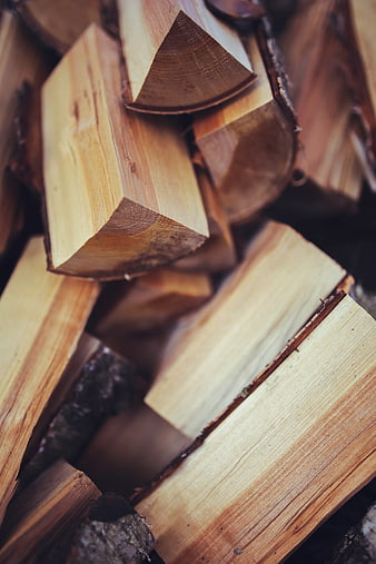 Stacked Firewood Logs Close-Up