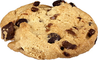 Close-up of chocolate chip cookie on white background