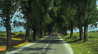 Orange bus driving down tree-lined country road