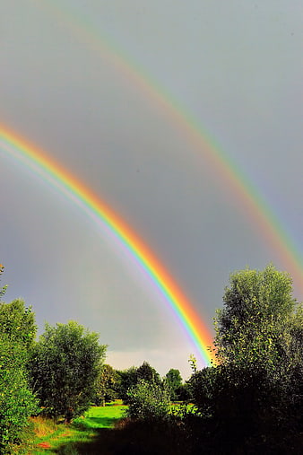 Double Rainbow Arching Over Green Meadow Landscape