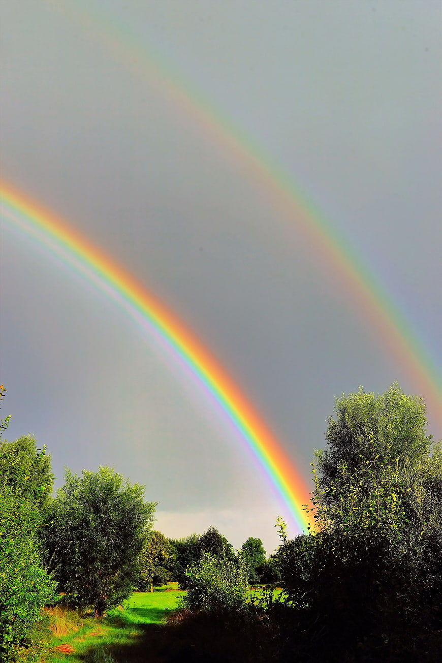 Double Rainbow Arching Over Green Meadow Landscape