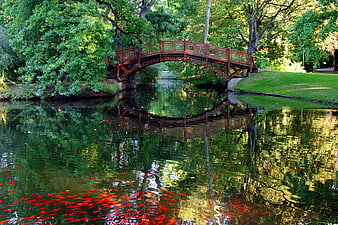 Wooden Bridge Over Pond with Red Fish and Reflections