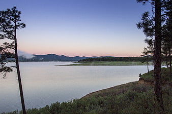 Serene Lake at Dusk with Mist and Pine Trees