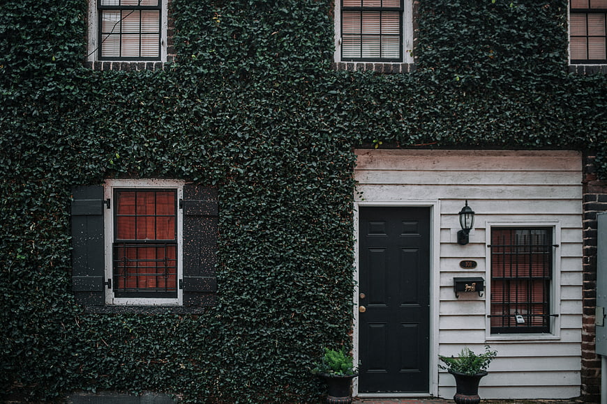 Ivy-covered brick house facade with black door and windows