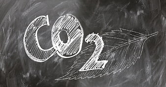 CO2 and Leaf Chalk Drawing on Blackboard