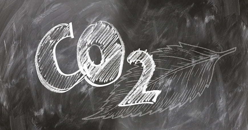 CO2 and Leaf Chalk Drawing on Blackboard
